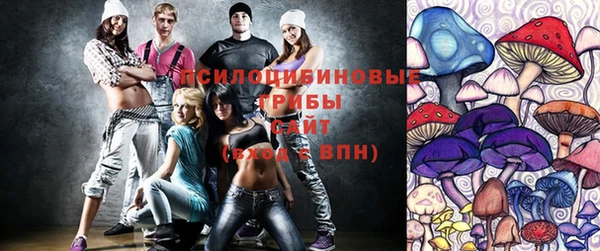 mix Богородицк