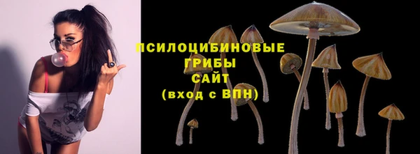 ALPHA-PVP Богданович