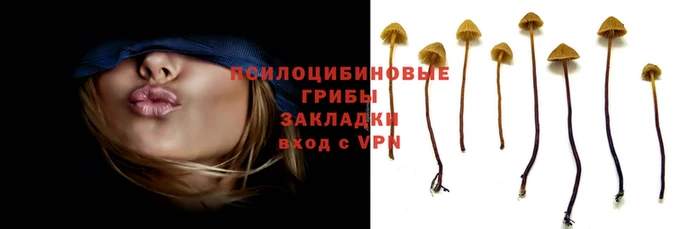 ешки Балахна