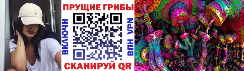 сколько стоит  Купино  Галлюциногенные грибы мицелий 